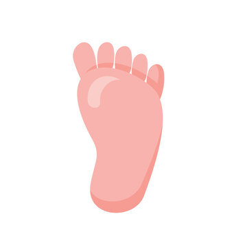 Foot palm icon vector, flat design style illustration, human body icon