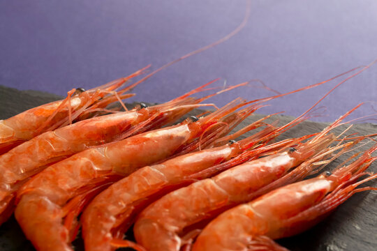 Sweet shrimp. Also known as Northern shrimp. 甘エビ。別名ホッコクアカエビ
