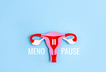 Paper application of the uterus from colored cardboard and word Menopause on blue background....
