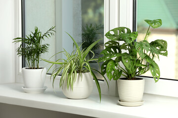 Different potted houseplants on white window sill