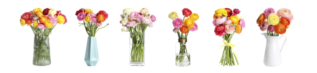 Set with beautiful spring ranunculus flowers on white background. Banner design