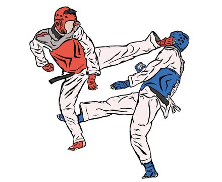 Taekwondo fighter illustration 
