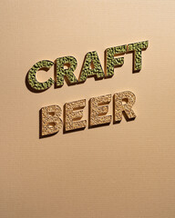 Craft beer poster
