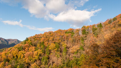 青空と紅葉　日本の秋の季節背景