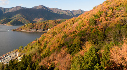青空と紅葉　日本の秋の季節背景