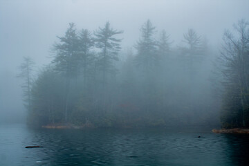 fog on the lake