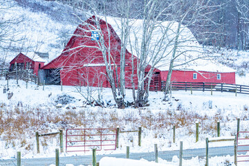 red barn in winter © Tim Pennington