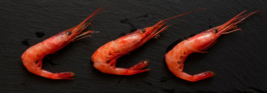 Sweet shrimp on the black slate plate. Also known as Northern shrimp. 黒いスレートプレート上の甘エビ。別名ホッコクアカエビ