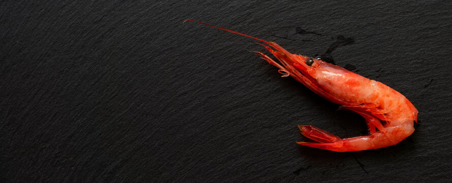 Sweet shrimp on the black slate plate. Also known as Northern shrimp. 黒いスレートプレート上の甘エビ。別名ホッコクアカエビ