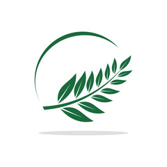 leaf logo design, tree, vector, natural, green, leaf stem logo vector