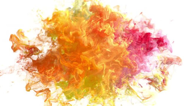 Color burst - colorful yellow orange pink smoke powder circle particle explosion. Pulsating shockwave particles in slow motion. Fluid ink alpha matte isolated on white 4k