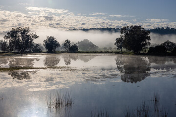 Fototapeta premium Morning fog over a winter lake in the beautiful Chittering Valley near Perth, Western Australia