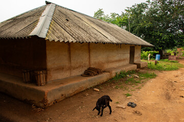 Fototapeta premium The houses in a tribal village of Bengal in India is made out of mud and are beautifully decorated paint with colours.