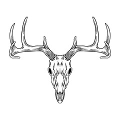 deer head skull vector art