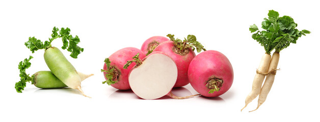 radish on a white background 