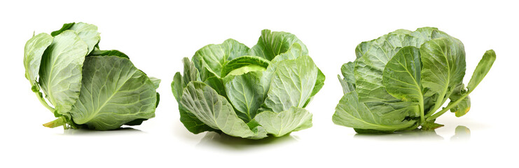 cabbage on a white background