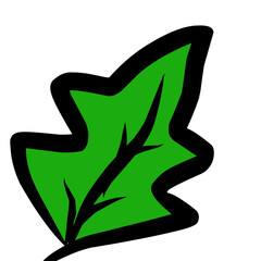 tropical leaves on a white background. Tropical tropical beauty