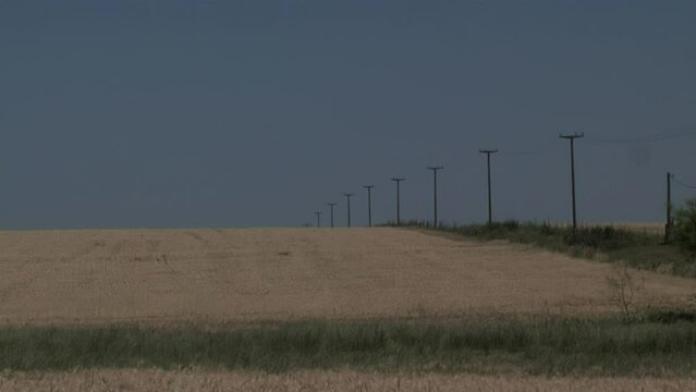 Soybean Field and Power Lines in Crespo, Entre Rios Province, Argentina, South America.