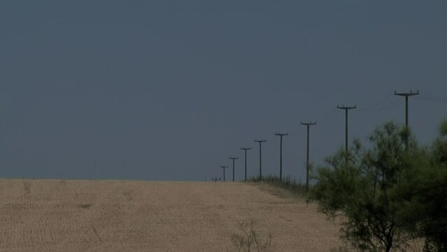 Wheat field and Power Lines in Crespo, Entre Rios Province, Argentina, South America.