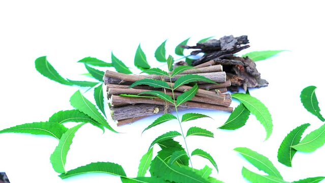 Medicinal neem leaves Azadirachta indica ,Siamese neem leaves, Neem leaves. Azadirachta indica - A branch of neem tree leaves. Natural Medicine.