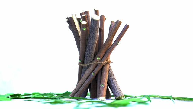 Medicinal neem leaves Azadirachta indica ,Siamese neem leaves, Neem leaves. Azadirachta indica - A branch of neem tree leaves. Natural Medicine.