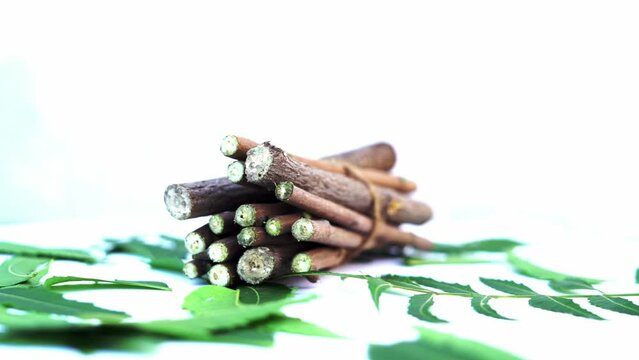 Medicinal neem leaves Azadirachta indica ,Siamese neem leaves, Neem leaves. Azadirachta indica - A branch of neem tree leaves. Natural Medicine.