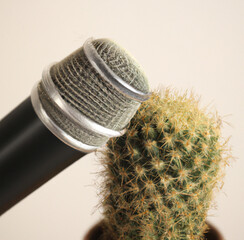 A microphone asking a cacti 
