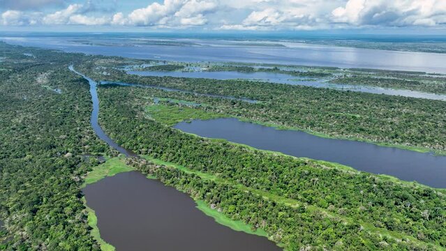 Amazon Rainforest At Manaus Amazonas Brazil. Idyllic Background Summer. Eco Idyllic. Bush Aerial Landscape Tourist. Amazon Outdoors Natural. Manaus Amazonas Forest Trees