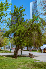 park in the city