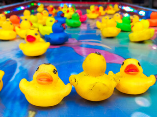 rubber ducks in the water
