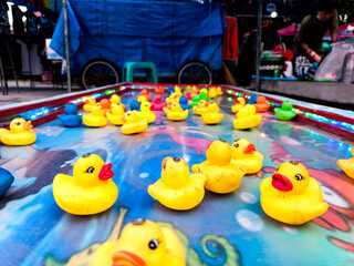 rubber duck in the pool