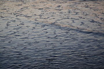 closeup beach in the evening
