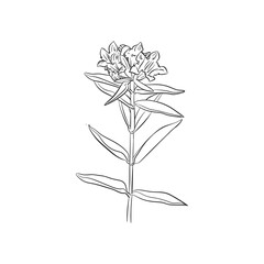 Flower icon design in hand drawn style