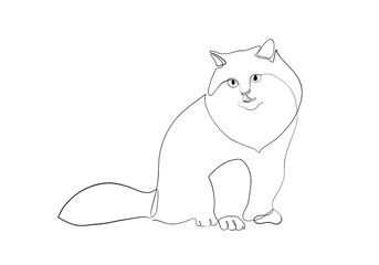 One line drawing of the cat in modern minimalistic style, line illustration