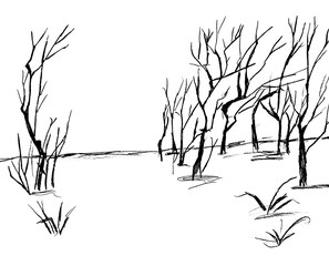 Obraz premium On a white background, black trees and bushes with bare branches