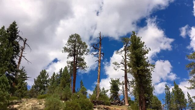 San Pedro Martil, BCS, M&eacute;xico.