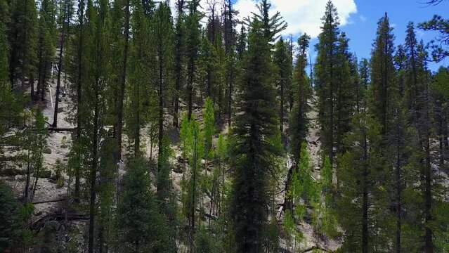 San Pedro Martil, BCS, M&eacute;xico.