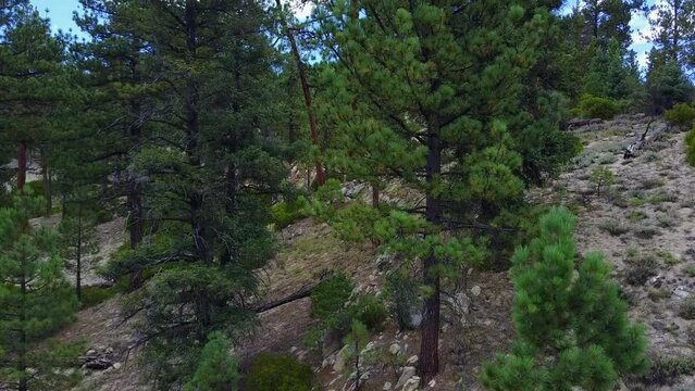 San Pedro Martil, BCS, M&eacute;xico.