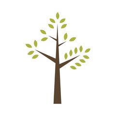 Tree icon design