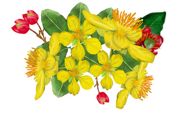 yellow flower mikkymouse