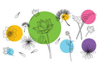 Illustration of flowers in hand drawn style