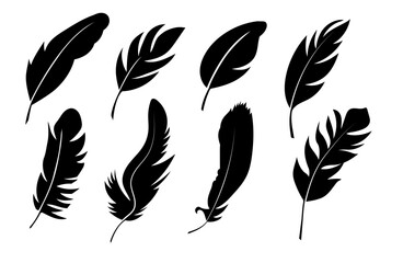 black silhouettes of bird feather