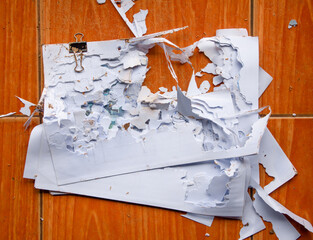 Documents damaged by termites in office