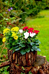 herbstliche gartendeko mit blumen