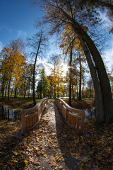 Beautiful golden autumn manor park with path and bridge - 534877751