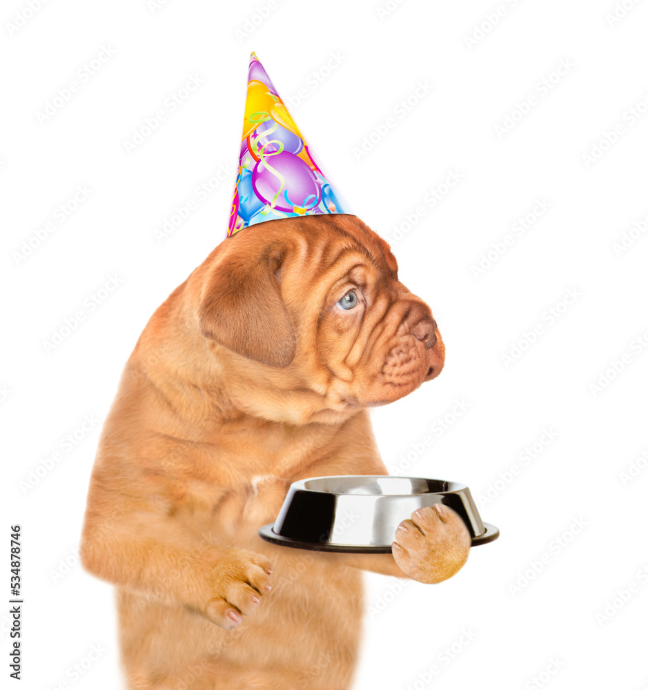 Poster hungry puppy wearing party cap holds empty bowl and looks away on empty space. isolated on white bac