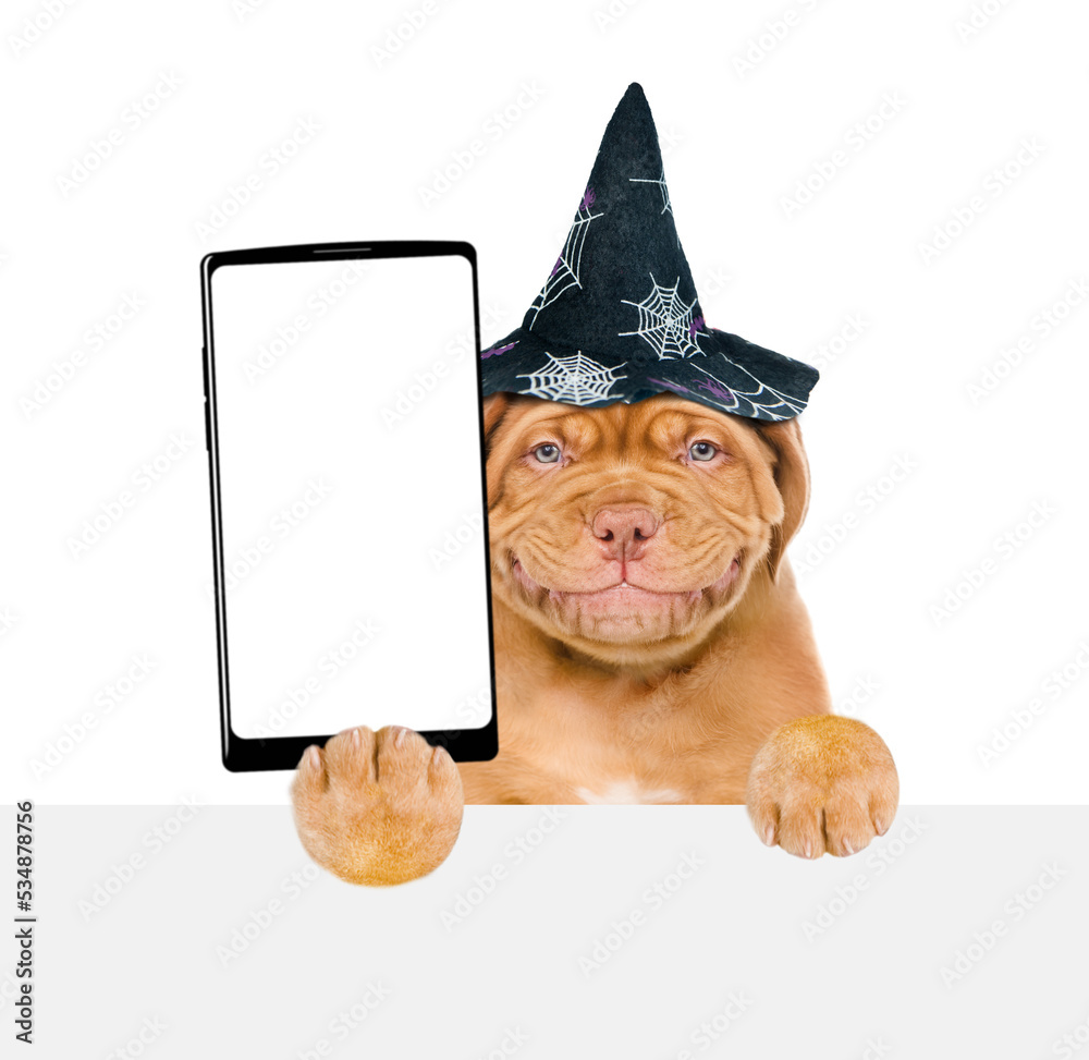 Poster smiling mastiff puppy wearing hat for halloween holds big smartphone with white blank screen in it p