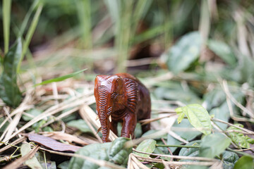 Statuette of wooden elephant  on blur background. Quality photo for art work and advertised. image of hand made.