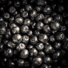 background of aronia berries