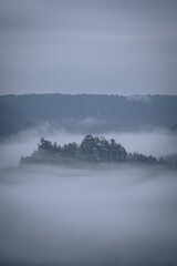misty morning on the river